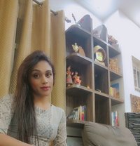 Big cock Meenakshi here - Transsexual escort in Bangalore