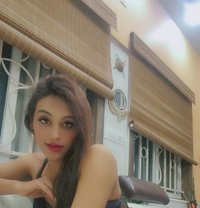 Big cock Meenakshi here - Acompañantes transexual in Bangalore Photo 21 of 27