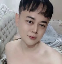 Big Cock - Transsexual escort in Doha