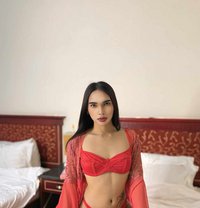 big cock - Acompañantes transexual in Al Manama