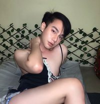 Big Cock - Transsexual escort in Al Sohar