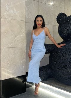 big cock Thai Trans 6.5 Sukumvit - Transsexual escort in Bangkok Photo 27 of 28