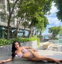 big cock Thai Trans 6.5 Sukumvit - Acompañantes transexual in Bangkok