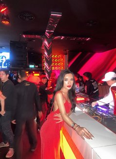 big cock Thai Trans 6.5 - Transsexual escort in Bangkok Photo 15 of 17