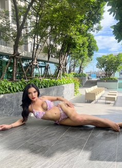 big cock Thai Trans in Sukumvit Sukumvit - Transsexual escort in Bangkok Photo 12 of 12