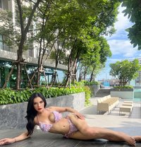 big cock Thai Trans in Sukumvit Sukumvit - Transsexual escort in Bangkok