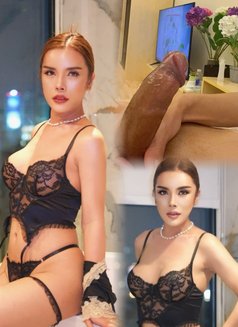 big cock Thai Trans in Sukumvit - Transsexual escort in Bangkok Photo 14 of 26