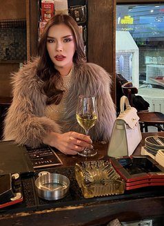 big cock Thai Trans in Sukumvit - Transsexual escort in Bangkok Photo 22 of 26