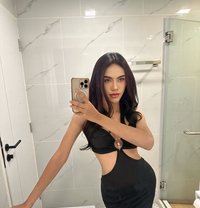 Big cock Zandy from thai - Transsexual escort in Singapore