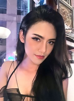 Big cock Zandy from thai - Transsexual escort in Singapore Photo 11 of 11