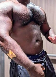 Big Daddy Bear Black - Agencia de acompañantes masculinas in Johannesburg Photo 1 of 1