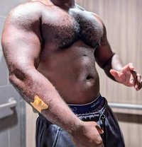 Big Daddy Bear Black - Agencia de acompañantes masculinas in Johannesburg