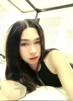 Big Dick(camshow/meet) - Transsexual escort in Manila Photo 1 of 7