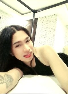 Big Dick(camshow/meet) - Transsexual escort in Manila Photo 5 of 7