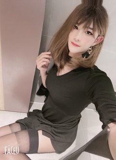Big Dick - Transsexual escort in Hong Kong Photo 2 of 10