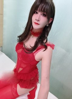 CD Big Dick - Acompañantes transexual in Guangzhou Photo 1 of 6