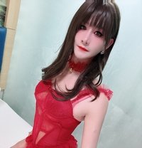 CD Big Dick - Acompañantes transexual in Shenzhen