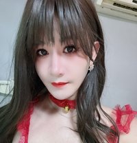 CD Big Dick - Acompañantes transexual in Shenzhen