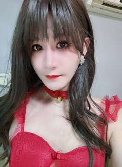 Sexy Qiqi - Transsexual escort in Hong Kong Photo 1 of 6