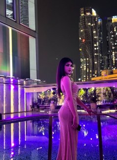 Big Dick Good Top (New) - Acompañantes transexual in Bangkok Photo 18 of 18