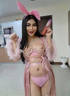 BIG DICK! HORNY 24HR! FROM MALAYSIA🇲🇾 - Transsexual escort in Al Manama Photo 2 of 16