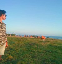 Big Dick Massage - Male escort in Surabaya