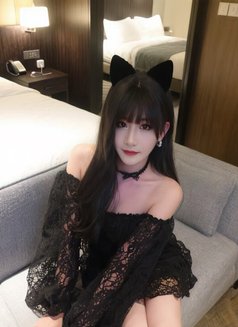 Big Dick Qiqi - Acompañantes transexual in Hong Kong Photo 2 of 11