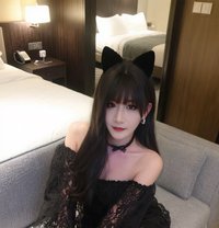 Big Dick Qiqi - Acompañantes transexual in Hong Kong