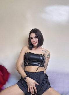 Big dick - Transsexual escort in Doha Photo 2 of 3