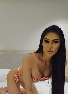 Big Dick 100% Top Both - Transsexual escort in Riyadh Photo 17 of 17