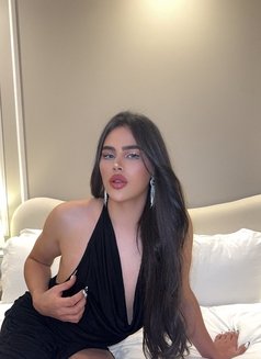 قموري ليدي بوي big dick - Transsexual escort in Riyadh Photo 3 of 11