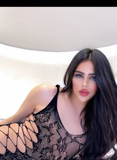 قموري ليدي بوي big dick - Acompañantes transexual in Riyadh Photo 7 of 11