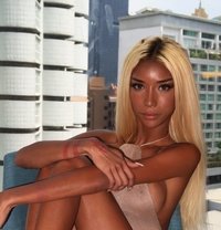 Your 7.3 Big Inch Island Girl Active! - escort in Bangkok