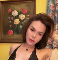#BIG Cassie - Transsexual companion in Bangkok
