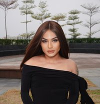 Big Massive Hard Cock Ladyboy - Transsexual escort in Bali