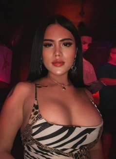 Olivia Hard Fucker in bali - Acompañantes transexual in Bali Photo 11 of 17