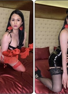 BOYTOY Lover KINKY Mistress Cum Feeder - Transsexual escort in Singapore Photo 1 of 25
