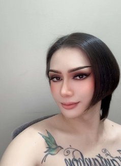 🇴🇲Mona Both Big Hard Young For you - Transsexual escort in Muscat Photo 14 of 17
