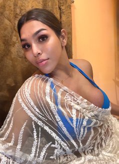 Biggest Dick textme telegram-@yenni_here - Transsexual escort in Bangalore Photo 29 of 29