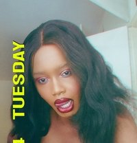 Bikira - Transsexual escort in Kiambu