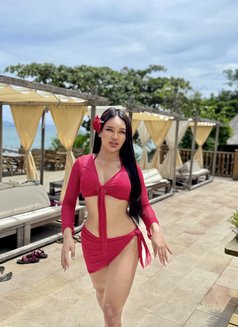 Billie(bb) - Transsexual escort in Krabi Photo 2 of 11