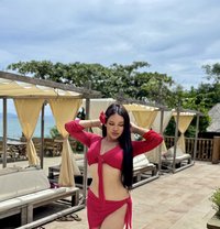 Billie(bb) - Transsexual escort in Krabi