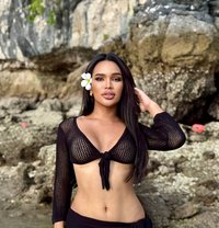 Billie(bb) - Acompañantes transexual in Krabi