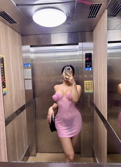 Billie(bb) - Transsexual escort in Krabi Photo 15 of 15