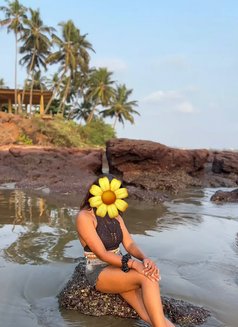 Binu / Sri Lanka Independent Girl/ - escort in Colombo Photo 2 of 19