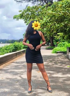 Binu / Sri Lanka Independent Girl/ - escort in Colombo Photo 6 of 19