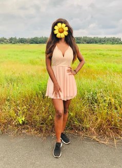 Binu / Sri Lanka Independent Girl/ - escort in Colombo Photo 14 of 19