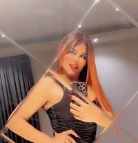 بيسو اللبناني - Transsexual escort in Erbil