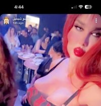 بيسو اللبناني - Acompañantes transexual in Erbil