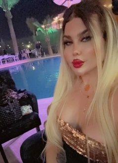 بيسو اللبناني - Acompañantes transexual in Erbil Photo 4 of 8